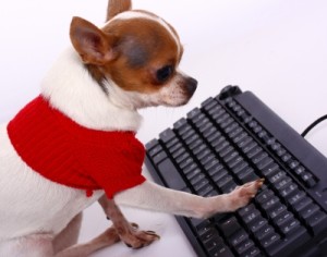 dog typing Stuart Miles